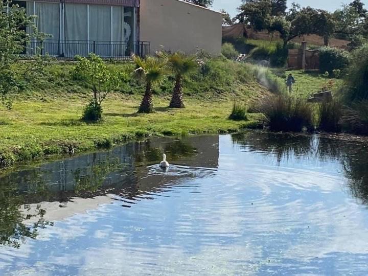 Complejo Rural El Prado Hotel Logrosan Luaran gambar